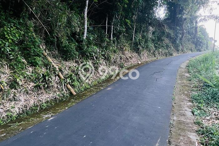 Tanah Dijual Lokasi Ngargoyoso, Karanganyar Luas 2487m2 Legalitas Aman Tanah Dijual Lokasi Ngargoyoso, Karanganyar Luas 2487m2 Legalitas Aman