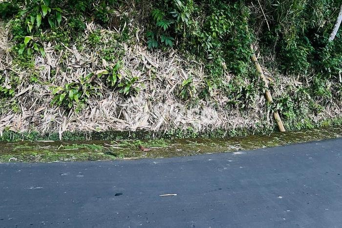 Tanah Dijual Lokasi Ngargoyoso, Karanganyar Luas 2487m2 Legalitas Aman Tanah Dijual Lokasi Ngargoyoso, Karanganyar Luas 2487m2 Legalitas Aman