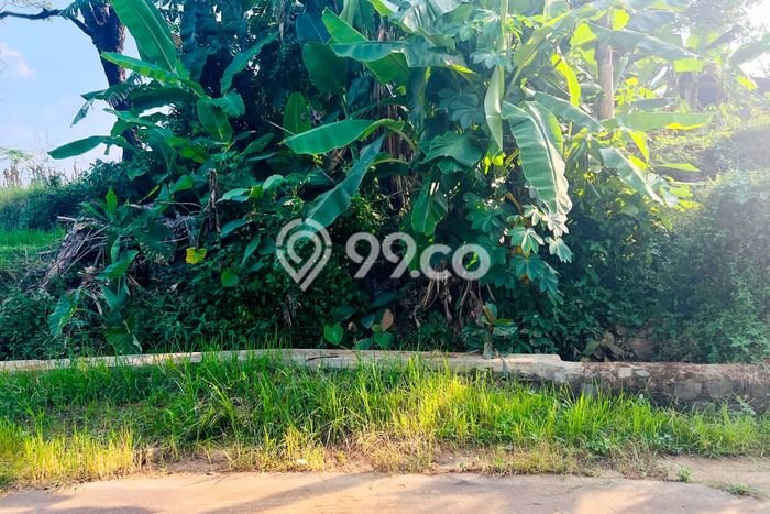 Tanah Kavling untuk Dijual di Kerjo Karanganyar 793m2 Tanah Kavling untuk Dijual di Kerjo Karanganyar 793m2