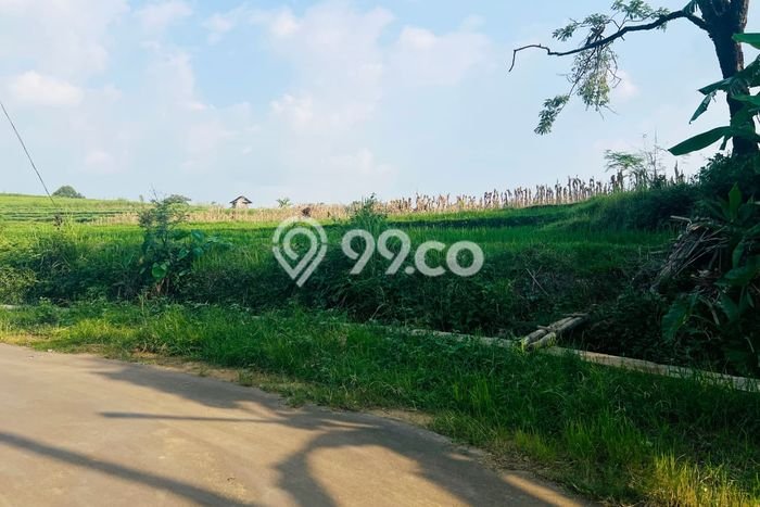 Tanah Kavling untuk Dijual di Kerjo Karanganyar 793m2 Tanah Kavling untuk Dijual di Kerjo Karanganyar 793m2