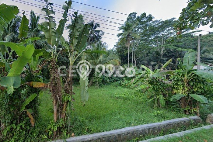 Untuk Dijual Tanah 2942m2 di Cijulang, Ciamis Untuk Dijual Tanah 2942m2 di Cijulang, Ciamis