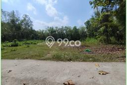 AREA PROSPEKTIF! Tanah di Sedayu, Luas 111m², Dekat Fasilitas Umum AREA PROSPEKTIF! Tanah di Sedayu, Luas 111m², Dekat Fasilitas Umum