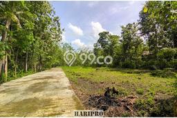 AREA PROSPEKTIF! Tanah di Wates, Luas 198m², Akses Transportasi, Kawasan Berkembang AREA PROSPEKTIF! Tanah di Wates, Luas 198m², Akses Transportasi, Kawasan Berkembang