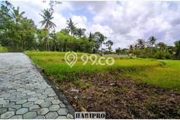 Dijual Tanah Kawasan Wates, Luas 184m², Area Berkembang Dijual Tanah Kawasan Wates, Luas 184m², Area Berkembang