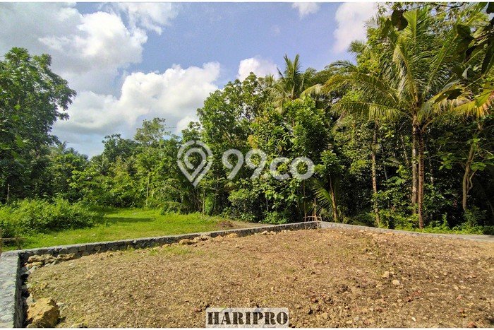 Tanah Kawasan Panjatan, Luas 179m², Sertifikat Hak Milik, Akses Panjatan, Kulon Progo, Kulon Progo Tanah Kawasan Panjatan, Luas 179m², Sertifikat Hak Milik, Akses Panjatan, Kulon Progo, Kulon Progo
