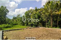 Tanah Kawasan Panjatan, Luas 179m², Sertifikat Hak Milik, Akses Panjatan, Kulon Progo, Kulon Progo Tanah Kawasan Panjatan, Luas 179m², Sertifikat Hak Milik, Akses Panjatan, Kulon Progo, Kulon Progo