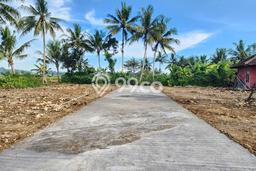 Lahan Investasi Lokasi Wates Kulon Progo SHM Lahan Investasi Lokasi Wates Kulon Progo SHM