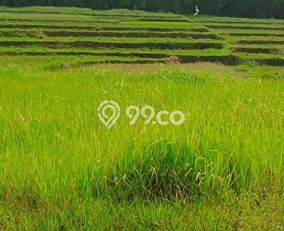 Tanah Dijual Area Strategis di Tegal Gundil Bogor 60000m2 Tanah Dijual Area Strategis di Tegal Gundil Bogor 60000m2