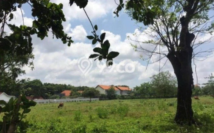 Lahan Kosong Dijual di Denpasar dengan Area 1949m2 Lahan Kosong Dijual di Denpasar dengan Area 1949m2