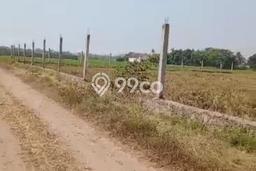 Tanah Strategis Dijual di Mauk Tangerang 4200m2 Tanah Strategis Dijual di Mauk Tangerang 4200m2