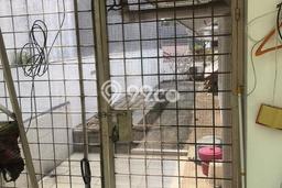 Rumah Elit Modern Tanpa Renovasi di Kayu Putih Jakarta Timur Rumah Elit Modern Tanpa Renovasi di Kayu Putih Jakarta Timur