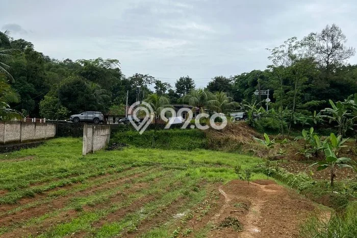 Tanah Dijual Lokasi Jasinga Bogor SHM Tanah Dijual Lokasi Jasinga Bogor SHM