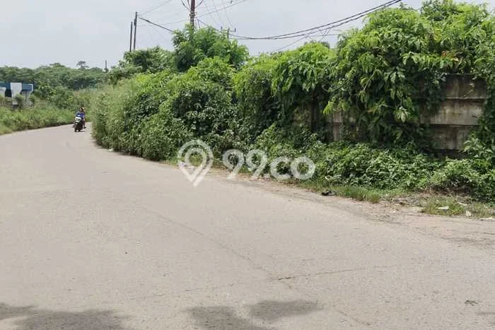 Tanah Siap Pakai Disewakan di Cisauk, Tangerang, Luas 9900m2 Tanah Siap Pakai Disewakan di Cisauk, Tangerang, Luas 9900m2