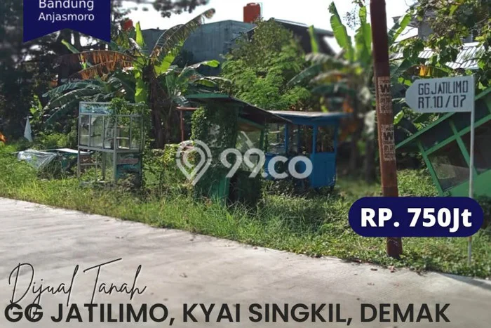 Dijual Tanah 400m2 di Bintoro, Demak Dijual Tanah 400m2 di Bintoro, Demak