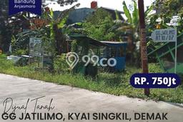 Dijual Tanah 400m2 di Bintoro, Demak Dijual Tanah 400m2 di Bintoro, Demak