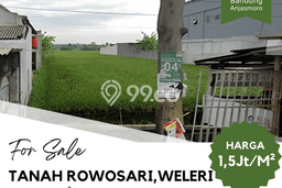 Jarang Ada! Tanah di Weleri Punya Luas 3718m2 SHM Jarang Ada! Tanah di Weleri Punya Luas 3718m2 SHM