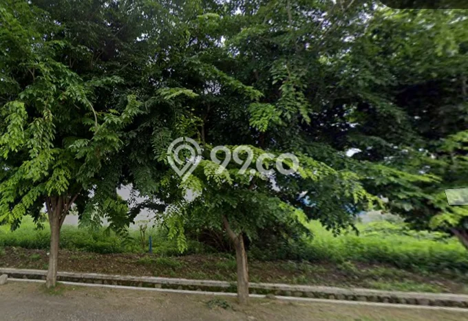 Kavling Tanah Dijual di Tugu Semarang Spesifikasi 3000m2 Kavling Tanah Dijual di Tugu Semarang Spesifikasi 3000m2