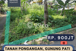 Jarang Ada! Tanah di Gunung Pati Punya Luas 667m2 SHM Jarang Ada! Tanah di Gunung Pati Punya Luas 667m2 SHM
