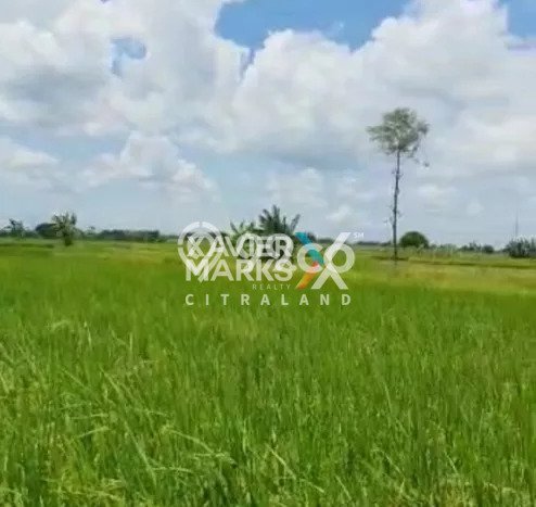 Tanah untuk Dijual di Menganti Gresik Luas 19014m2 Tanah untuk Dijual di Menganti Gresik Luas 19014m2