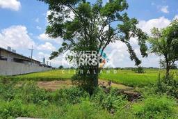 Lahan untuk Dijual di Menganti Gresik Luas 19014m2 Lahan untuk Dijual di Menganti Gresik Luas 19014m2