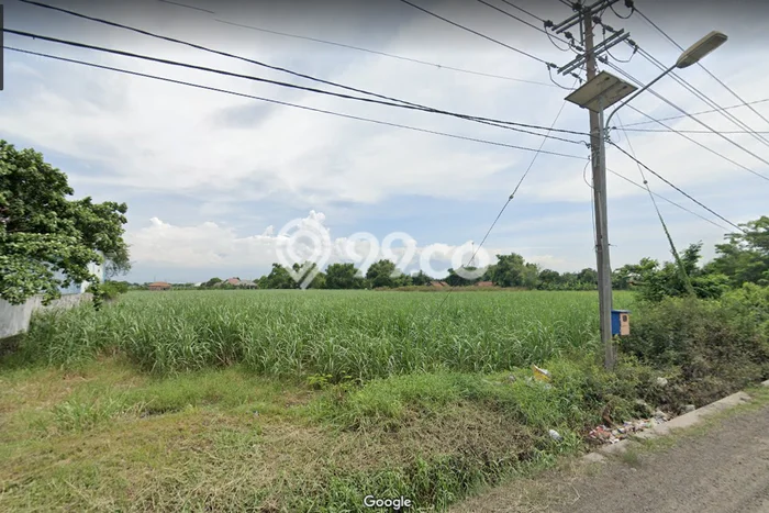 Dijual Tanah Lokasi Mojokerto, Mojokerto Seluas 14699m2 Dijual Tanah Lokasi Mojokerto, Mojokerto Seluas 14699m2