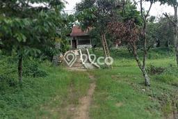 Lahan Kosong Dijual di Bandung dengan Area 4265m2 Lahan Kosong Dijual di Bandung dengan Area 4265m2