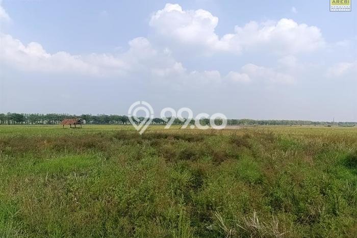 Tanah Strategis Dijual di Kertajati Majalengka 5746m2 Tanah Strategis Dijual di Kertajati Majalengka 5746m2
