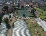 Untuk Dijual Tanah di Lembang Bandung Barat Luas 20160m2 SHM Untuk Dijual Tanah di Lembang Bandung Barat Luas 20160m2 SHM