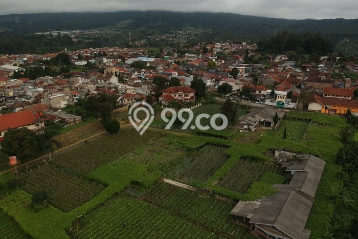 Untuk Dijual Tanah di Lembang Bandung Barat Luas 20160m2 SHM Untuk Dijual Tanah di Lembang Bandung Barat Luas 20160m2 SHM