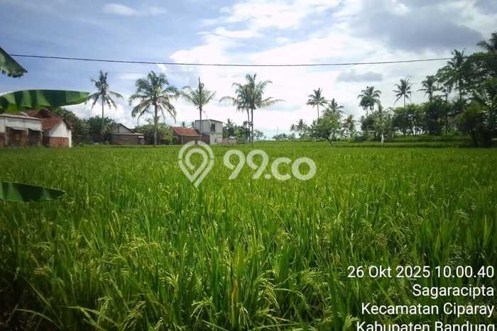 Tanah Kavling untuk Dijual di Ciparay Bandung 2420m2 Tanah Kavling untuk Dijual di Ciparay Bandung 2420m2