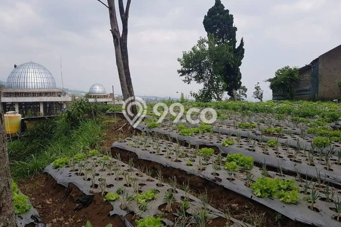 Kavling Tanah Dijual di Parongpong Bandung Barat Spesifikasi 400m2 Kavling Tanah Dijual di Parongpong Bandung Barat Spesifikasi 400m2