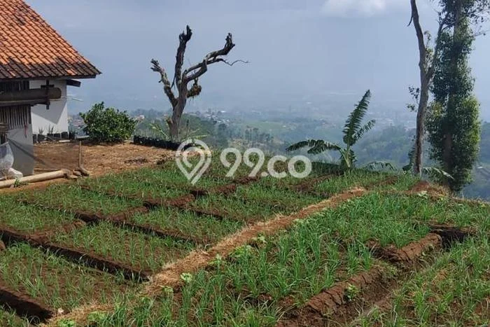 Tanah Dijual Lokasi Majalaya, Bandung dengan Luas Tanah 1994m2 dan Status SHM Tanah Dijual Lokasi Majalaya, Bandung dengan Luas Tanah 1994m2 dan Status SHM