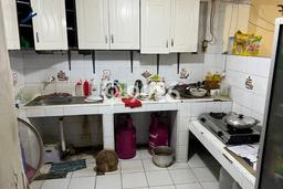 Rumah Elit Modern Tanpa Renovasi di Kartini Jakarta Pusat Rumah Elit Modern Tanpa Renovasi di Kartini Jakarta Pusat