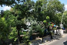 Tanah Kavling di Kebayoran Baru Dijual dengan Luas 4115m2 Tanah Kavling di Kebayoran Baru Dijual dengan Luas 4115m2