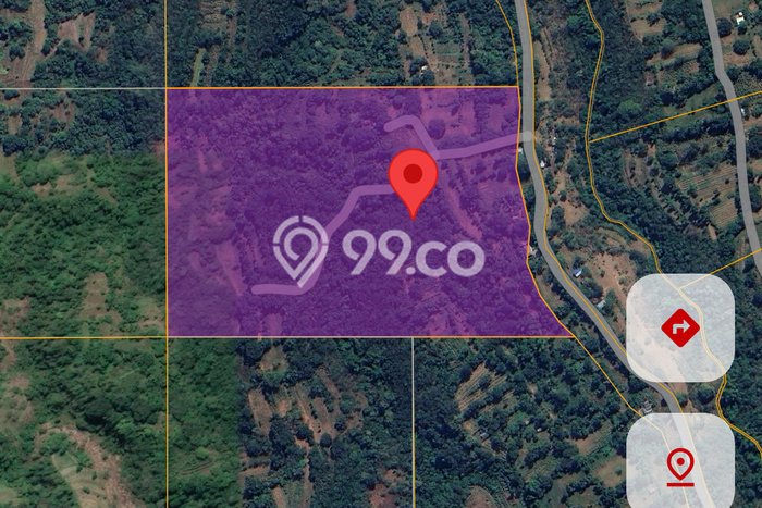 Kavling Tanah di Buleleng Dijual Luas 92500m2 Legalitas - Kavling Tanah di Buleleng Dijual Luas 92500m2 Legalitas -