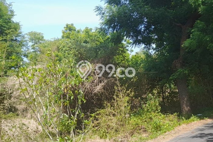 Kavling Tanah di Buleleng Dijual Luas 92500m2 Legalitas - Kavling Tanah di Buleleng Dijual Luas 92500m2 Legalitas -