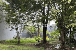Kavling Tanah untuk Dijual di Pantai Indah Kapuk, Jakarta Utara, Luas 594m2 Kavling Tanah untuk Dijual di Pantai Indah Kapuk, Jakarta Utara, Luas 594m2