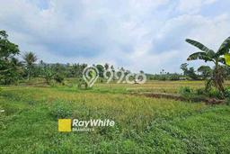 Tanah Investasi Dijual di Bogor Punya Luas 15000m2 Tanah Investasi Dijual di Bogor Punya Luas 15000m2
