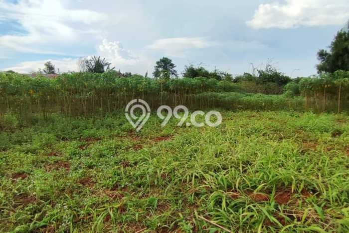 Lahan Dijual Lokasi Sawangan, Depok dengan Luas Tanah 5000m2 dan Status SHM Lahan Dijual Lokasi Sawangan, Depok dengan Luas Tanah 5000m2 dan Status SHM