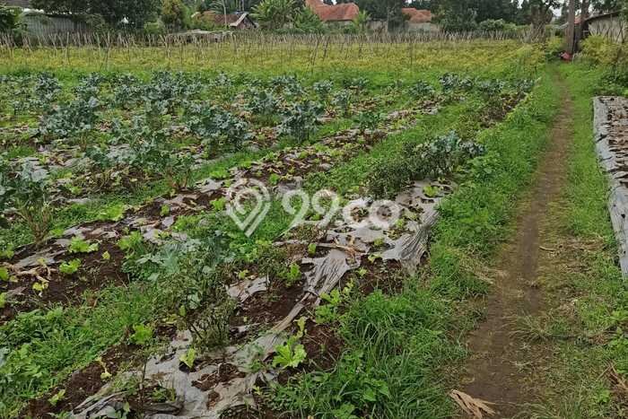 Lahan Kosong Dijual di Bandung Barat dengan Area 6370m2 Lahan Kosong Dijual di Bandung Barat dengan Area 6370m2