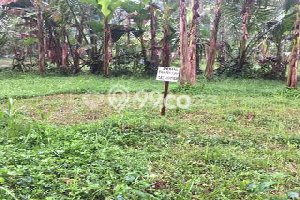 Tanah Dijual Lokasi Mengwi, Badung Luas 100m2 Legalitas Aman Tanah Dijual Lokasi Mengwi, Badung Luas 100m2 Legalitas Aman
