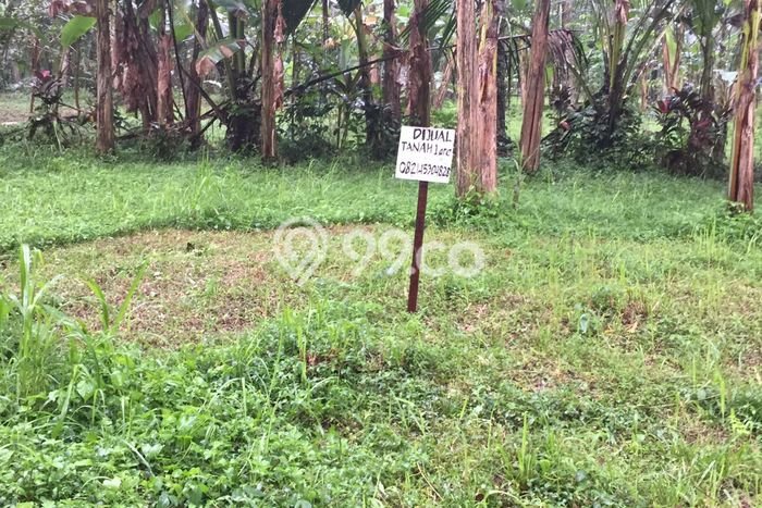 Tanah Dijual Lokasi Mengwi, Badung Luas 100m2 Legalitas Aman Tanah Dijual Lokasi Mengwi, Badung Luas 100m2 Legalitas Aman