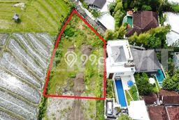 Dijual Tanah Kawasan Canggu, Luas 520m², Lingkungan Asri, Kontur Rata Dijual Tanah Kawasan Canggu, Luas 520m², Lingkungan Asri, Kontur Rata