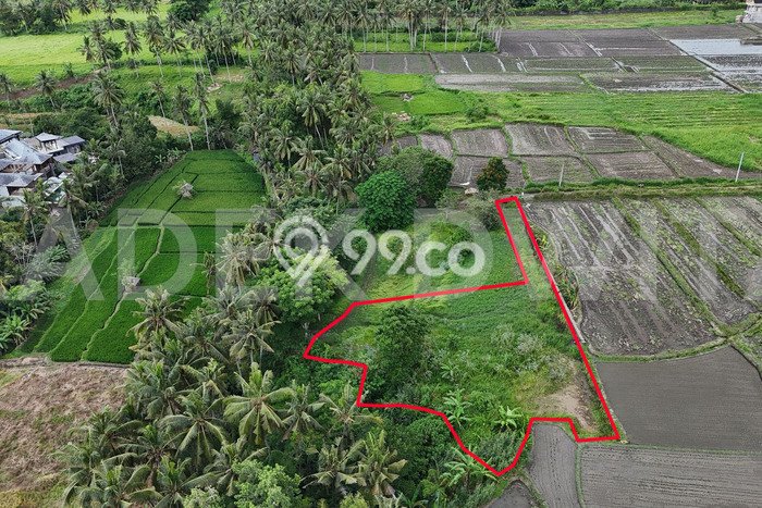 Tanah Kawasan Lodtunduh, Luas 2358m², Akses Strategis Tanah Kawasan Lodtunduh, Luas 2358m², Akses Strategis