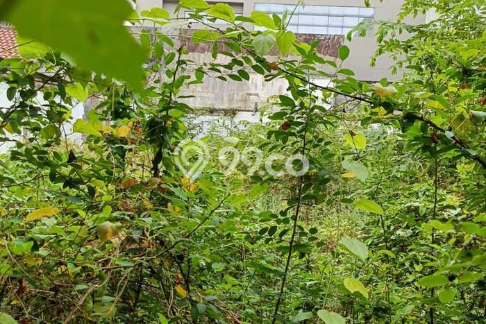 Dijual Tanah di Jakarta Pusat, Luas 460m2 SHM Dijual Tanah di Jakarta Pusat, Luas 460m2 SHM