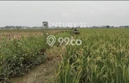 Tanah Komersial Dijual di Bekasi Barat Bekasi 5000m2 Tanah Komersial Dijual di Bekasi Barat Bekasi 5000m2
