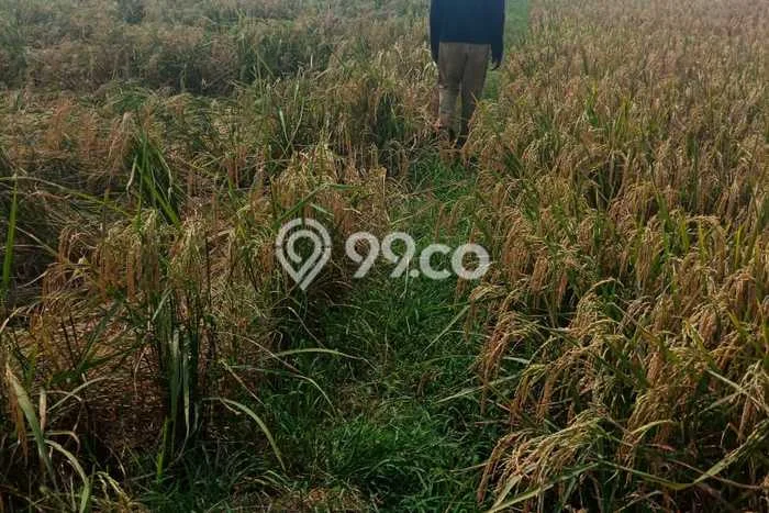 Lahan Strategis di Karawang Timur Dijual dengan Luas 6410m2 Lahan Strategis di Karawang Timur Dijual dengan Luas 6410m2