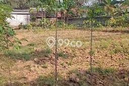 Tanah Dijual Lokasi Parung Panjang Bogor - Tanah Dijual Lokasi Parung Panjang Bogor -