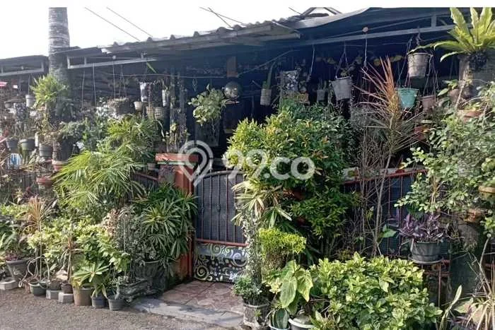 Dijual Rumah 2 Kamar Lokasi Ideal Bagus dan Strategis di Cisauk Dijual Rumah 2 Kamar Lokasi Ideal Bagus dan Strategis di Cisauk