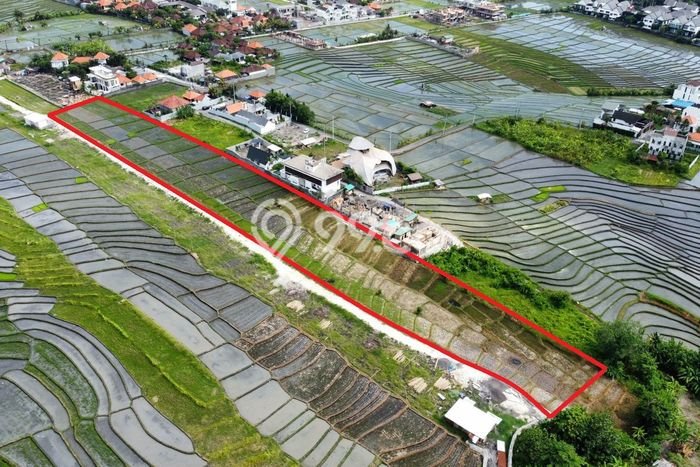 Tanah Disewa di Cemagi Strategis dan Memiliki Luas 7000m2 Tanah Disewa di Cemagi Strategis dan Memiliki Luas 7000m2